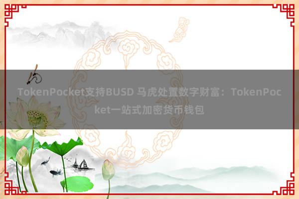 TokenPocket支持BUSD 马虎处置数字财富：TokenPocket一站式加密货币钱包